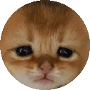 brahcircle emote for Discord