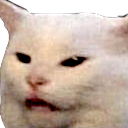 cat_meme emote for Discord