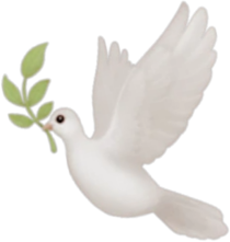 dove emote for Discord