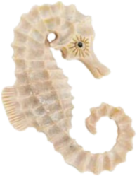 sea_horse emote for Discord