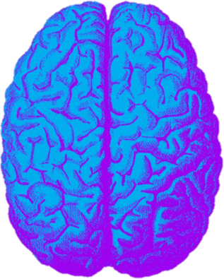 BrainScan emote for Discord