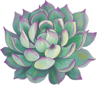 SucculentFlower emote for Discord