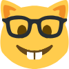 nerdyahhcat emote for Discord