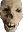Crustyskull emote for Discord