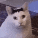 huh emote for Discord