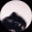 pedroRaccoon emote for Discord