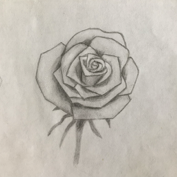 rose emote for Discord
