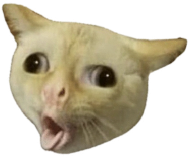 Puke_Cat static emote