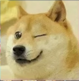 doge emote for Discord