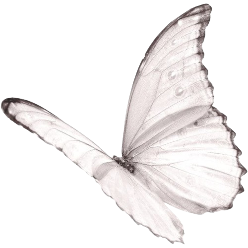 white_coquette_butterfly emote for Discord