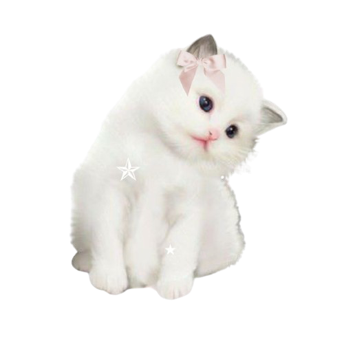 coquette_kitten emote for Discord