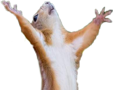 dramaticSquirrel emote for Discord