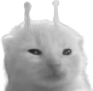 wlorp emote for Discord