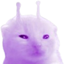 plorp emote for Discord