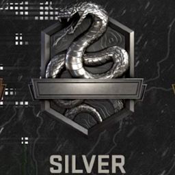 COD_Silver emote for Discord