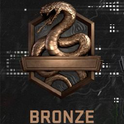 COD_Bronze emote for Discord