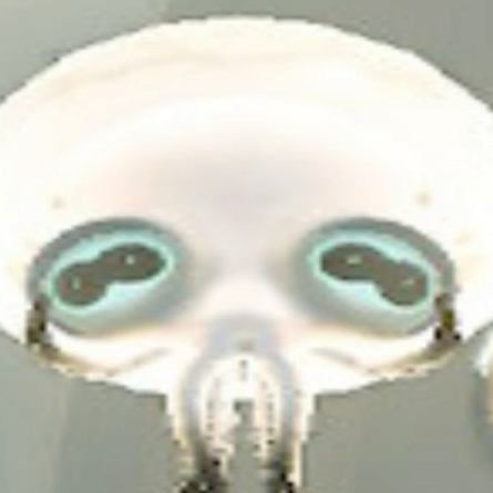 SmushedSmollusk emote for Discord