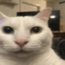 racist emote for Discord