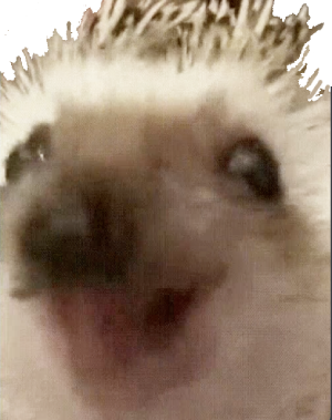 happyhedgy emote for Discord