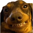 DogTeefSmile emote for Discord