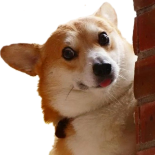 DogLurk emote for Discord