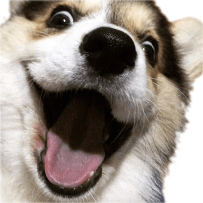 DogSmile emote for Discord