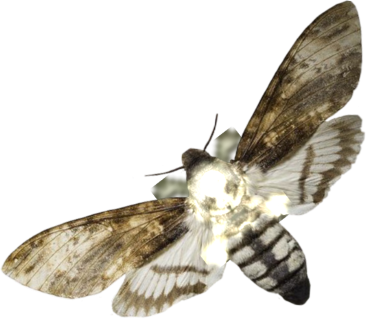 goth_mothh emote for Discord