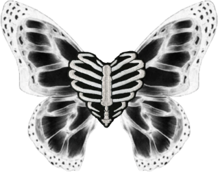 skull_butterfly emote for Discord