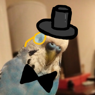 FancyBirb emote for Discord