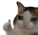 SadCat11 emote for Discord