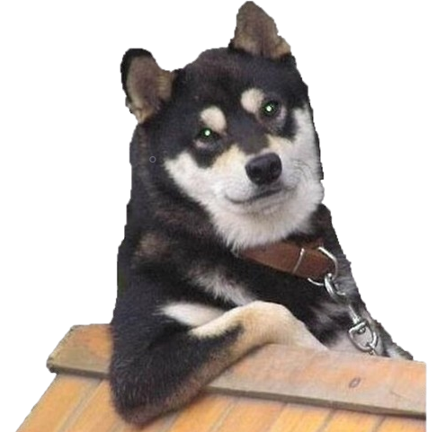 Cooldog emote for Discord