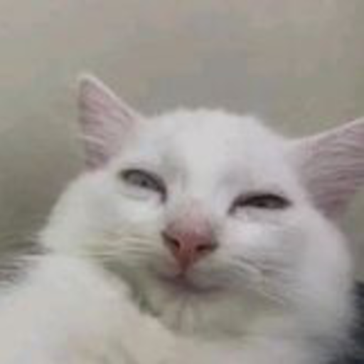cat_smile emote for Discord