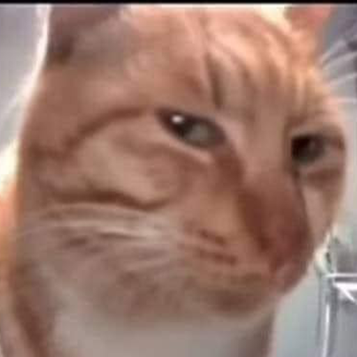 Cat_Sus emote for Discord