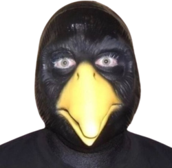 cursed_bird_stare emote for Discord