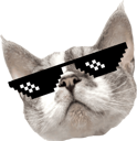 cool_huchu emote for Discord