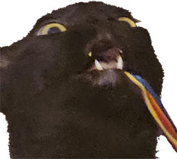 jetmoto emote for Discord