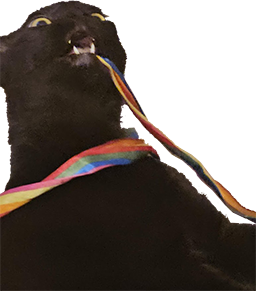 jetblack emote for Discord