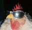 Vista emote for Discord