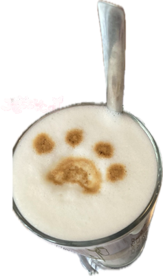 catclatte emote for Discord