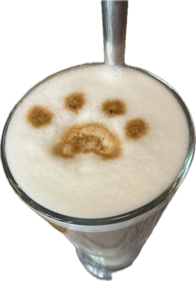 catlattee emote for Discord