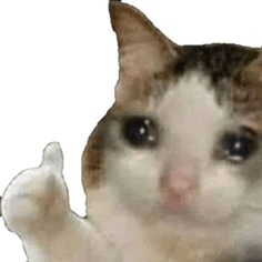 sad_cat emote for Discord