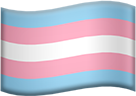 transgender_flag emote for Discord