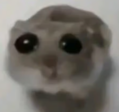 sad_hamster emote for Discord