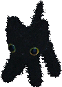 wat emote for Discord