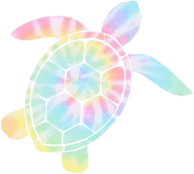 TyeDye_turtle emote for Discord