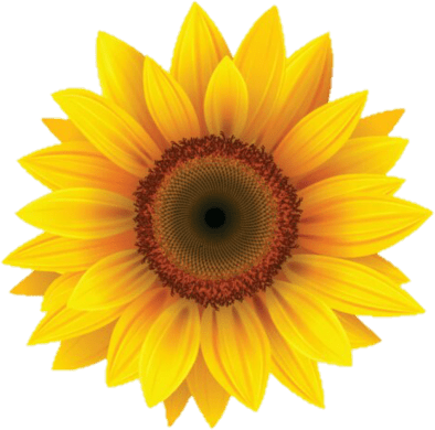Sunflower emote for Discord