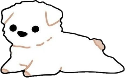 westie_white emote for Discord
