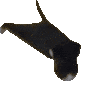 breakdance_cat emote for Discord