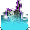 rare_cat emote for Discord
