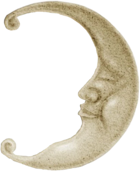fairy_moon emote for Discord